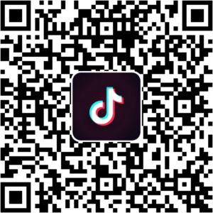 抖音小程序